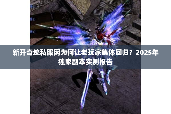新开奇迹私服网为何让老玩家集体回归？2025年独家副本实测报告